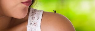 SOS piqûres d'insectes : 10 astuces naturelles pour vous soulager