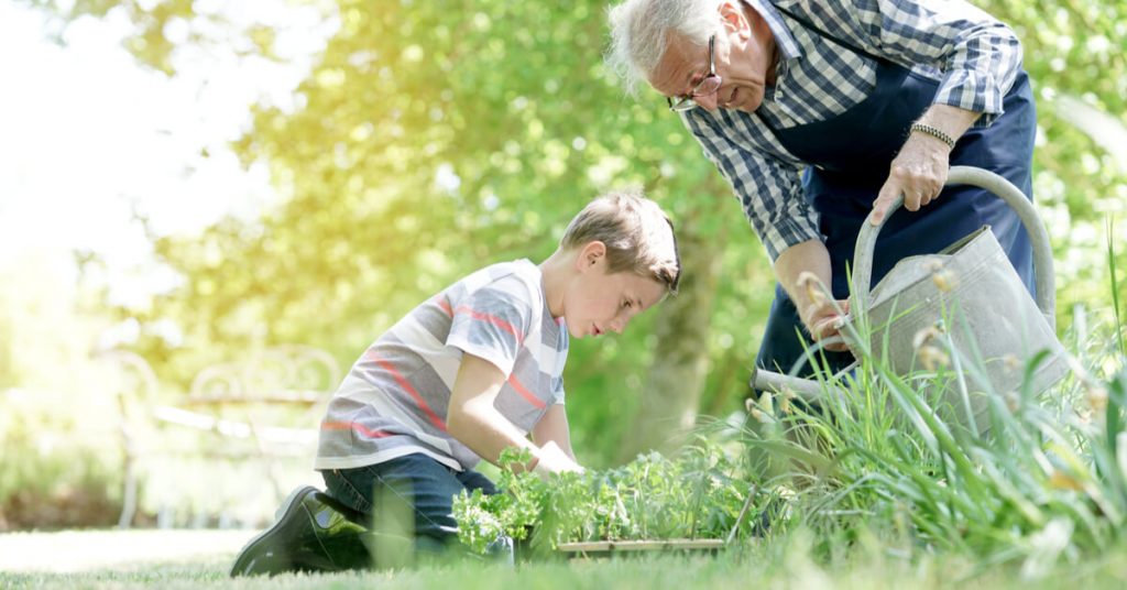 Pas de répit dans les jardins : comment jardiner en août