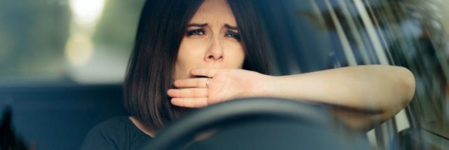 Quels aliments pour rester éveillé au volant ?