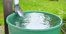 Installer un récupérateur d’eau de pluie : les erreurs à éviter Installer un récupérateur d’eau de pluie : les erreurs à éviter