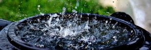 Récupérer l'eau de pluie : économique et écolo