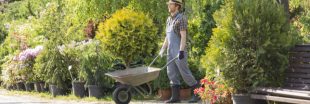 Déduction fiscale pour travaux de jardinage : comment en bénéficier ?