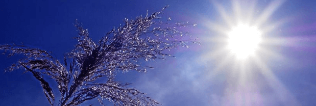 Alerte canicule en France (et ce n’est que le début…)