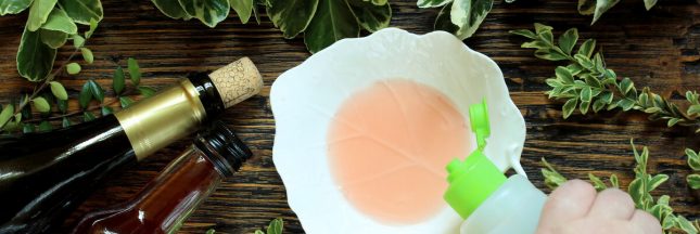 comment se débarrasser des moucherons