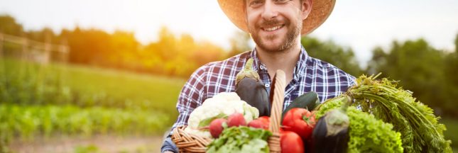 légumes de saison août