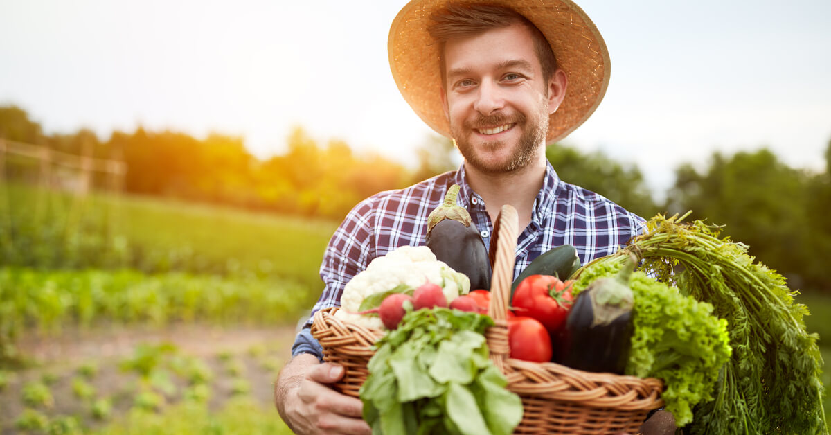 Cuisinez les fruits et légumes de saison en août : le panier AMAP Cuisinez les fruits et légumes de saison en août : le panier AMAP