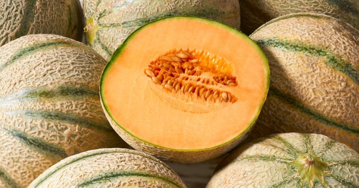 Le melon, star des fruits et légumes d'été : comment le choisir ?