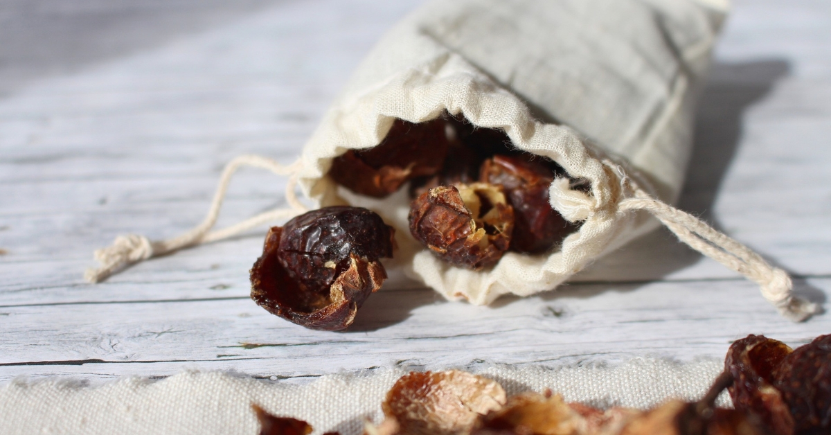 La noix de lavage, efficace et écolo ? La noix de lavage, efficace et écolo ?