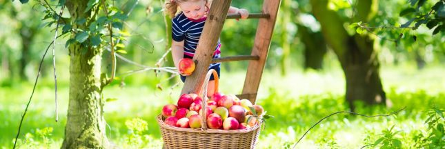 que planter en septembre