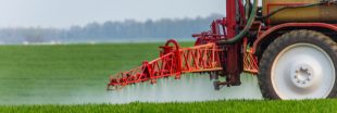 Des huiles essentielles pour remplacer le glyphosate : une alternative prometteuse Des huiles essentielles pour remplacer le glyphosate : une alternative prometteuse