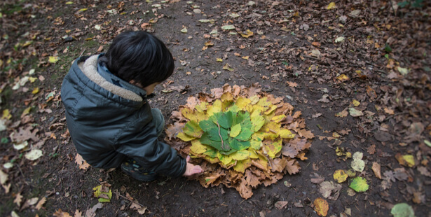 activité feuille d''automne