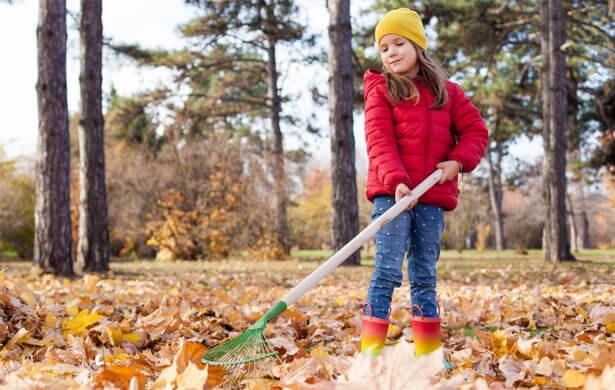 agroécologie automne