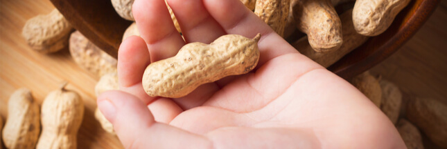 Enfin un espoir pour les allergiques aux cacahuètes