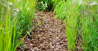 Le bois raméal fragmenté (BRF) pour valoriser ses haies en automne Le bois raméal fragmenté (BRF) pour valoriser ses haies en automne