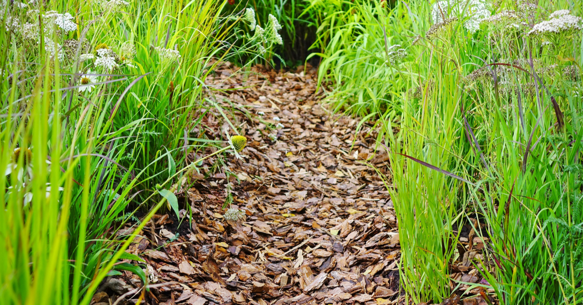 Le bois raméal fragmenté (BRF) pour valoriser ses haies en automne