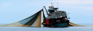 Les pêcheurs artisanaux vent debout contre un nouveau chalutier géant  français