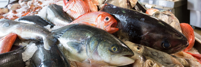 Le poisson que vous mangez est-il une espèce en danger critique ou menacée ?