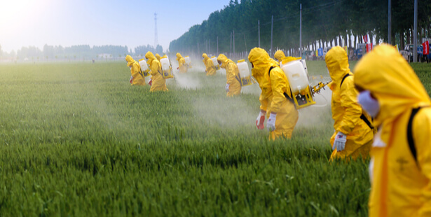 exportation pesticides Europe