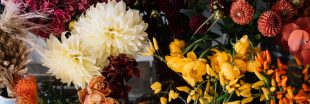 Bouquet de saison : quelles fleurs en automne ?