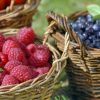 Framboises, mûres, myrtilles : cultiver de beaux fruits rouges au jardin ! Framboises, mûres, myrtilles : cultiver de beaux fruits rouges au jardin !