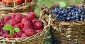Framboises, mûres, myrtilles : cultiver de beaux fruits rouges au jardin !