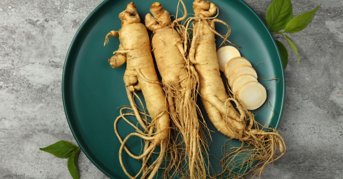 Les bienfaits du ginseng aux changements de saison : un allié santé exceptionnel