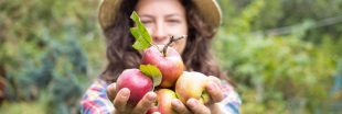 Pomme à cidre : bienfaits pour la peau et recettes de soins naturels maison