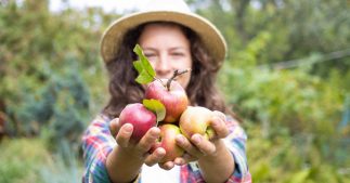 Pomme à cidre : bienfaits pour la peau et recettes de soins naturels maison
