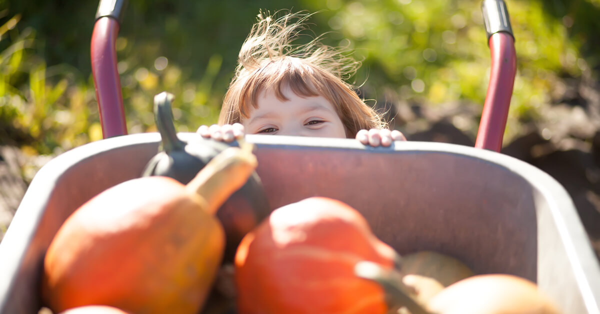 Jardiner en octobre : les tâches indispensables à un beau jardin !