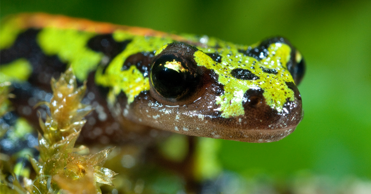 Il est temps d'agir pour les