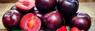 Les bienfaits de la prune : 8 bonnes raisons d'en manger