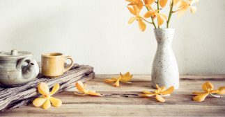 5 méthodes pour vieillir le bois sans devoir attendre que le temps passe ! 5 méthodes pour vieillir le bois sans devoir attendre que le temps passe !