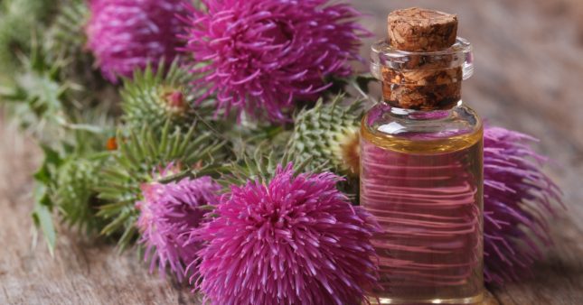 Le choix d'une peau jeune et éclatante avec la bardane