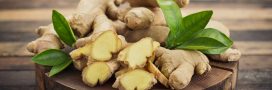 Les bienfaits insoupçonnés du gingembre pour la libido et bien plus encore !