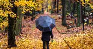 Balades insolites dans les cimetières d'Europe Balades insolites dans les cimetières d'Europe