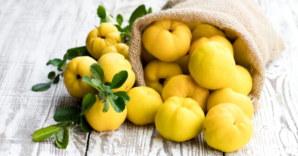 Le coing : fruit d’automne riche en vitamines, comment le choisir et le conserver ?