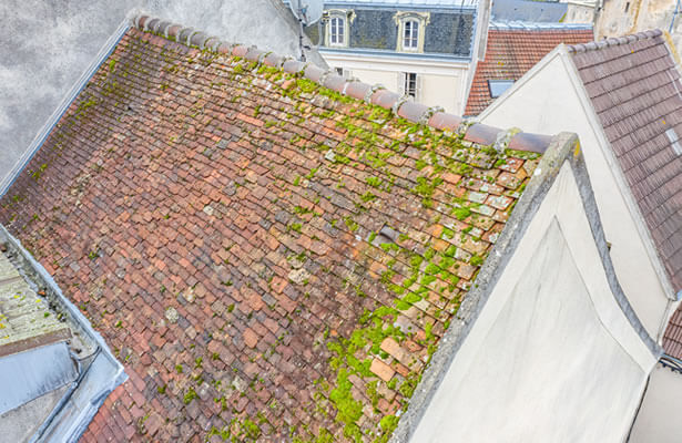 demousser sa toiture naturellement