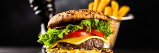 Les substances que nous cache... le fromage burger