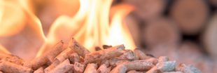 Ces substances que nous cachent... pellets et granulés de bois