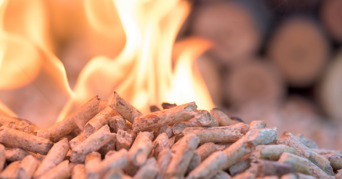 Ces substances que nous cachent… pellets et granulés de bois