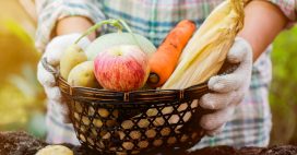 Cuisinez les fruits et légumes de saison en octobre : le panier AMAP
