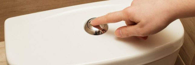 Ce qu'il ne faut pas jeter aux toiilettes