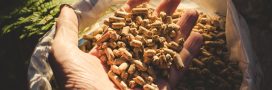 Comment bien choisir ses pellets de bois ? Comment bien choisir ses pellets de bois ?