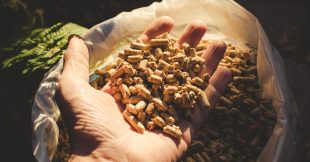 Comment bien choisir ses pellets de bois ? Comment bien choisir ses pellets de bois ?