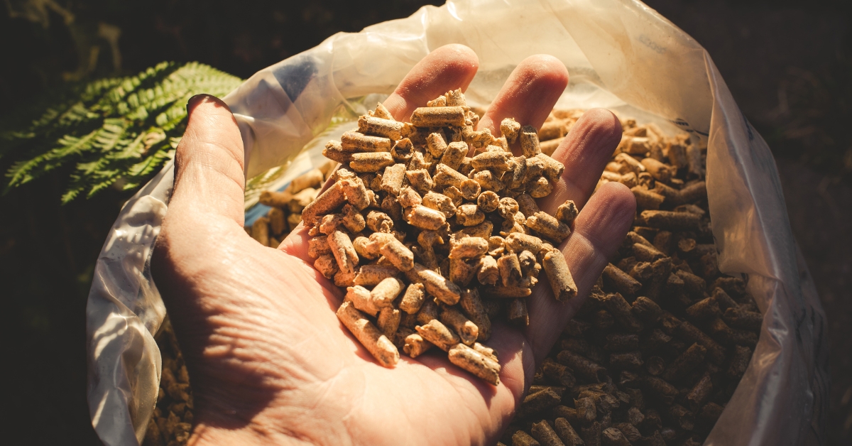 Comment bien choisir ses pellets de bois ?