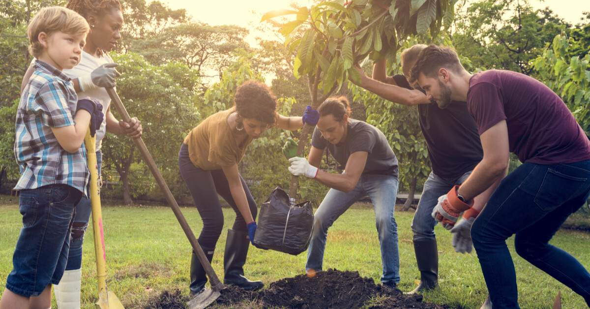 Les bons gestes pour planter un arbre ou un arbuste avant l'hiver Les bons gestes pour planter un arbre ou un arbuste avant l'hiver