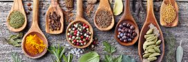 7 antioxydants puissants dans la cuisine : herbes, poudres, épices 7 antioxydants puissants dans la cuisine : herbes, poudres, épices