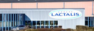 Scandale : des célèbres desserts Lactalis fabriqués avec du mouillage  destiné aux cochons