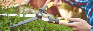 Tailler les haies en automne, indispensable avant l'hiver : ce qu'il ne faut pas oublier Tailler les haies en automne, indispensable avant l'hiver : ce qu'il ne faut pas oublier