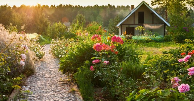 Idées écolo pour aménager son jardin